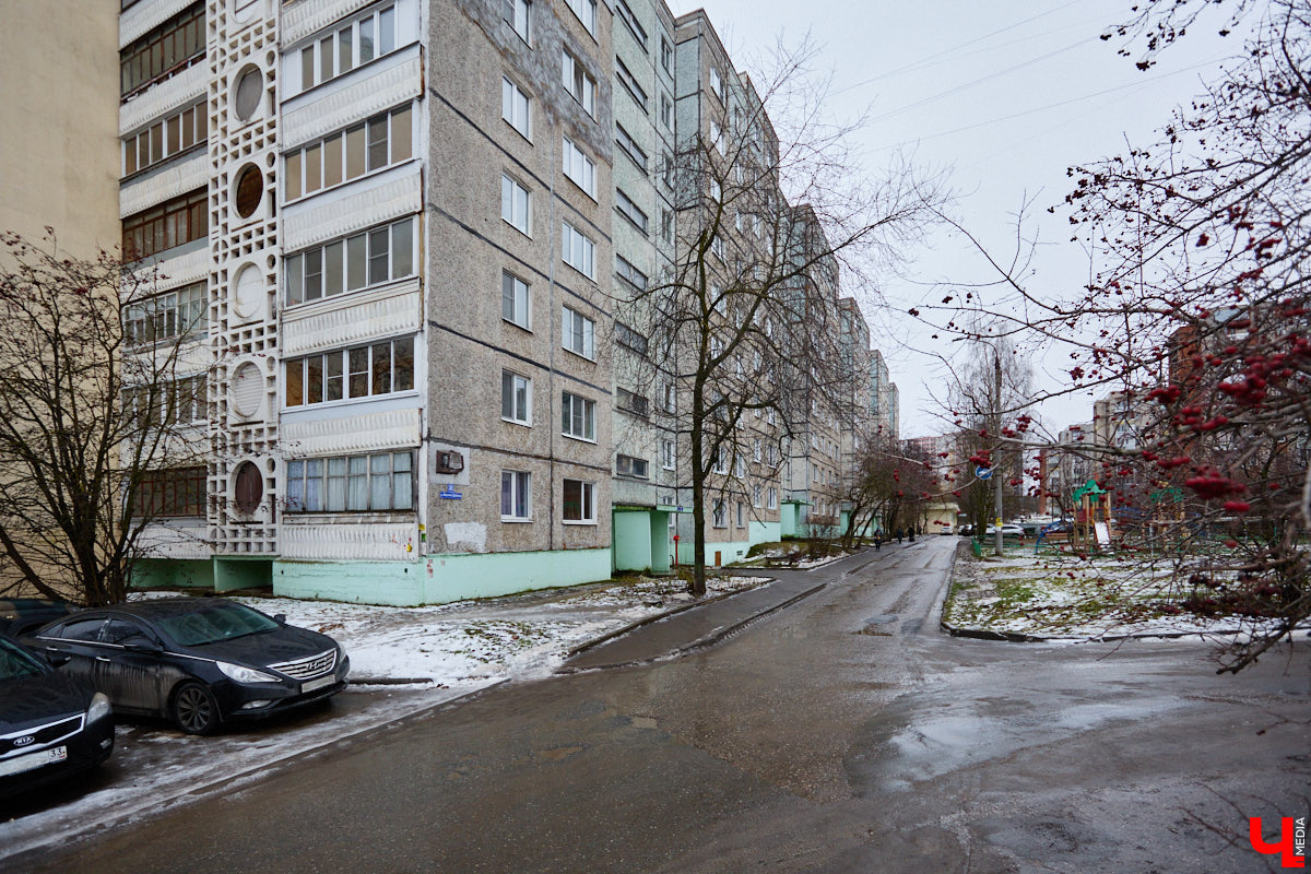 На стихи владимирского поэта Алексея Шлыгина написаны десятки песен и романсов, среди которых «Отпусти меня в край васильковый» в исполнении Иосифа Кобзона. Более 20 лет он сотрудничал с местным композитором Сергеем Зубковским. Результатом совместного творчества стал вокальный цикл для детей «Зоопарк в тетрадке», выпущенный отдельным сборником в 2005 году. Слушая эти веселые, легкие песенки, трудно представить, что их написал человек с непростой судьбой.