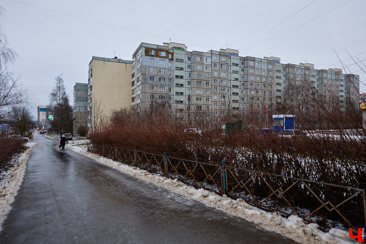 На стихи владимирского поэта Алексея Шлыгина написаны десятки песен и романсов, среди которых «Отпусти меня в край васильковый» в исполнении Иосифа Кобзона. Более 20 лет он сотрудничал с местным композитором Сергеем Зубковским. Результатом совместного творчества стал вокальный цикл для детей «Зоопарк в тетрадке», выпущенный отдельным сборником в 2005 году. Слушая эти веселые, легкие песенки, трудно представить, что их написал человек с непростой судьбой.