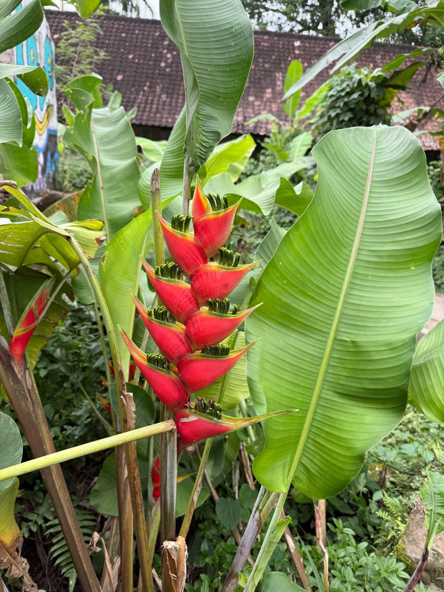 В последнее время организовывать путешествия за границу стало сложнее. Но и в этих условиях остаются возможности спланировать необычный тур за приемлемые деньги. Жительница Владимира Полина Чистова занимается этим уже 17 лет: с семьей она объездила более 30 стран. О своем любопытном опыте наша героиня рассказала «Ключ-Медиа».