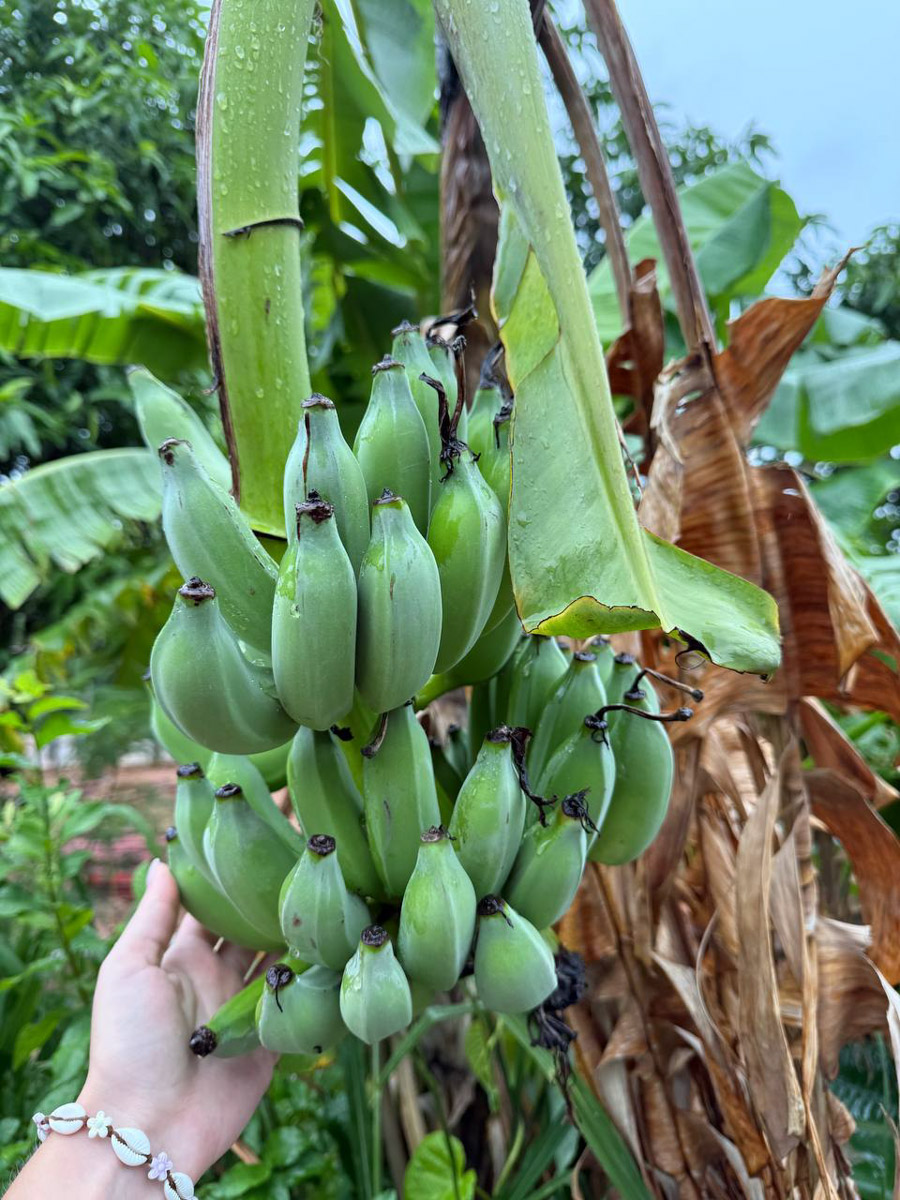 В последнее время организовывать путешествия за границу стало сложнее. Но и в этих условиях остаются возможности спланировать необычный тур за приемлемые деньги. Жительница Владимира Полина Чистова занимается этим уже 17 лет: с семьей она объездила более 30 стран. О своем любопытном опыте наша героиня рассказала «Ключ-Медиа».