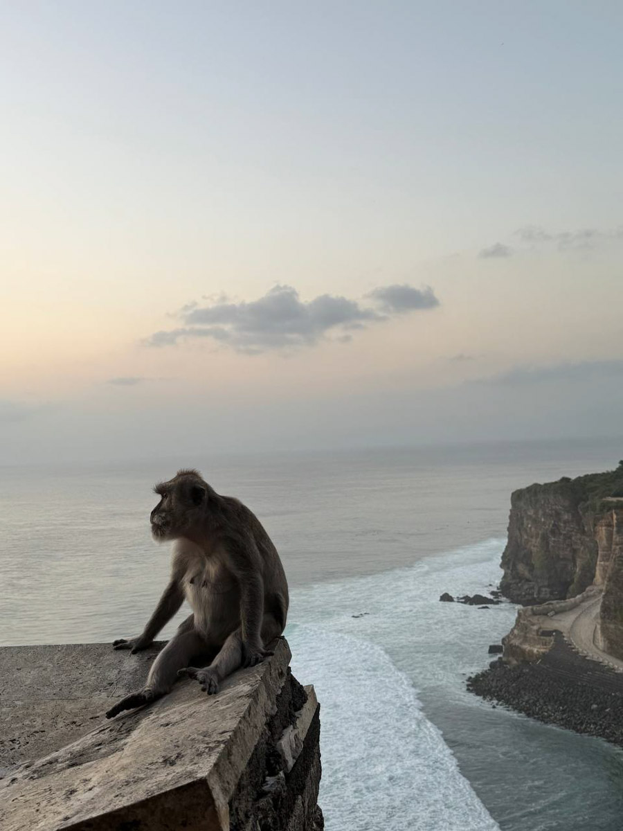 В последнее время организовывать путешествия за границу стало сложнее. Но и в этих условиях остаются возможности спланировать необычный тур за приемлемые деньги. Жительница Владимира Полина Чистова занимается этим уже 17 лет: с семьей она объездила более 30 стран. О своем любопытном опыте наша героиня рассказала «Ключ-Медиа».
