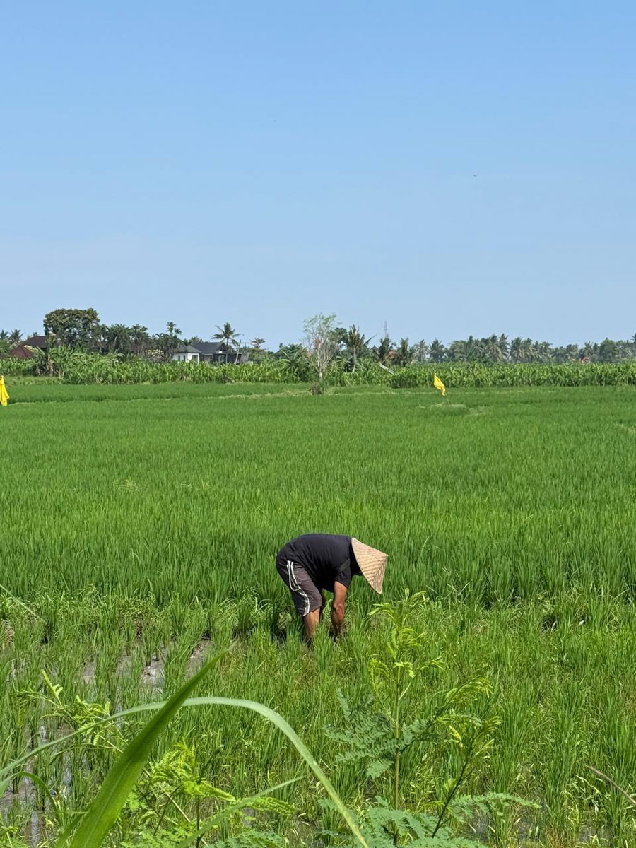 В последнее время организовывать путешествия за границу стало сложнее. Но и в этих условиях остаются возможности спланировать необычный тур за приемлемые деньги. Жительница Владимира Полина Чистова занимается этим уже 17 лет: с семьей она объездила более 30 стран. О своем любопытном опыте наша героиня рассказала «Ключ-Медиа».