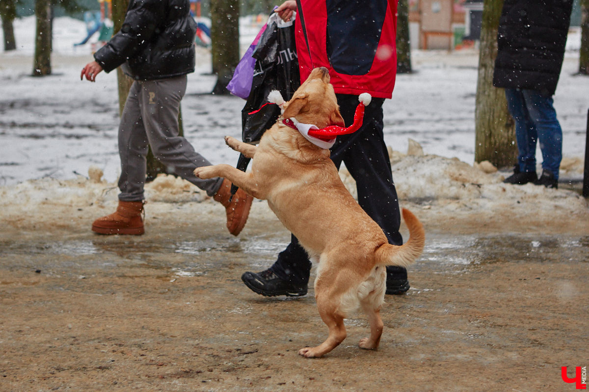 Время молниеносно! До главного праздника зимы осталось меньше недели. Пора составлять личную программу развлечений на 31 декабря и первые 11 дней грядущего года. Засиживаться дома не советуем: на зимние каникулы 2025 — 2026 во Владимире запланировано много интересного.