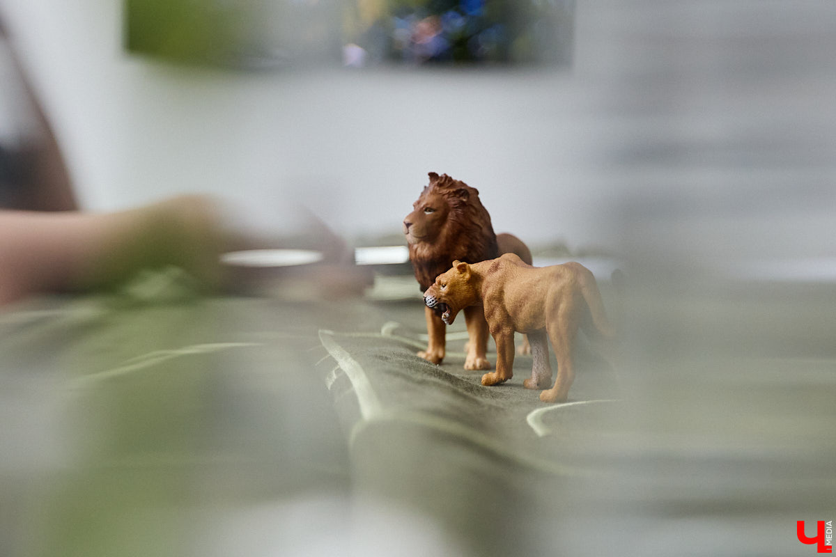 Если и говорить про спортивную гордость областного центра, точно стоит упомянуть женский баскетбол. Из обычной университетской команды «Владимирские львицы» выросли до участниц Суперлиги с интересными игроками в составе. Одной из них является уроженка Санкт-Петербурга Кристина Корд, с которой «Ключ-Медиа» решил познакомиться поближе.