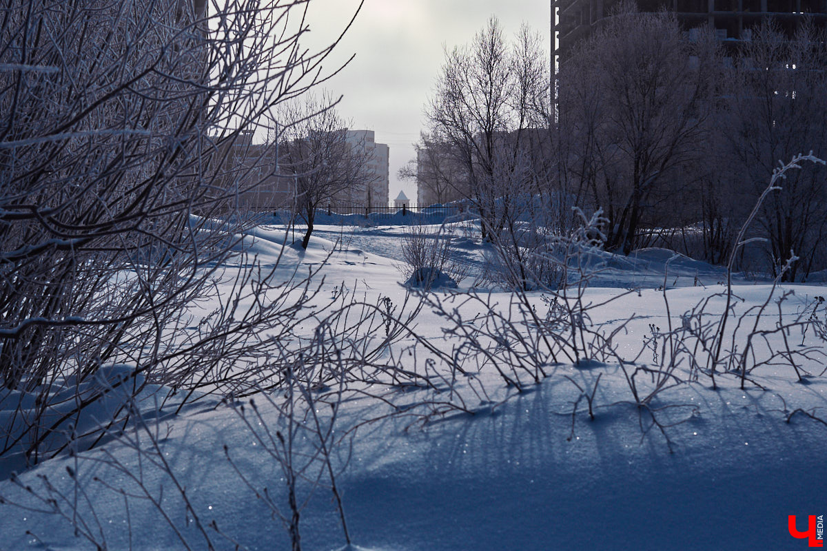 Год новый, а заботы всё те же. Многие наверняка уже задаются вопросом, чего ждать от погоды в первом месяце 2026-го. В прошлом сезоне зима умело маскировалась под осень. Неужели сейчас январь готов всё переиграть и наградить нас морозцем?
