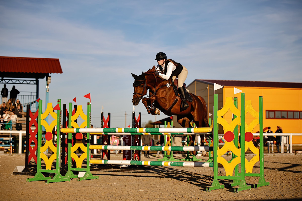 Символом 2026-го стала Огненная Лошадь. И пока творческие люди Владимира готовили талисманы наступающего года, «Ключ-Медиа» выяснил, дорого ли содержать реальных скакунов. Эти и другие вопросы мы обсудили с Катариной Рыжовой, которая более 17 лет занимается конным спортом.