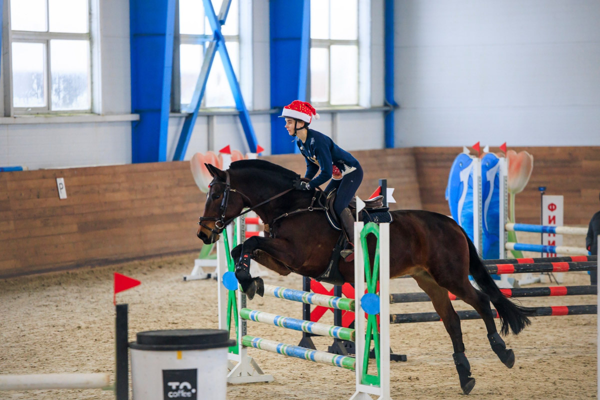 Символом 2026-го стала Огненная Лошадь. И пока творческие люди Владимира готовили талисманы наступающего года, «Ключ-Медиа» выяснил, дорого ли содержать реальных скакунов. Эти и другие вопросы мы обсудили с Катариной Рыжовой, которая более 17 лет занимается конным спортом.