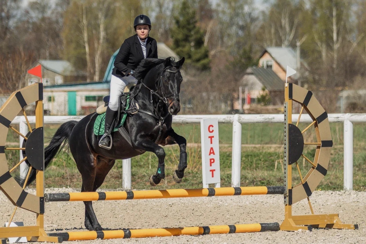 Символом 2026-го стала Огненная Лошадь. И пока творческие люди Владимира готовили талисманы наступающего года, «Ключ-Медиа» выяснил, дорого ли содержать реальных скакунов. Эти и другие вопросы мы обсудили с Катариной Рыжовой, которая более 17 лет занимается конным спортом.