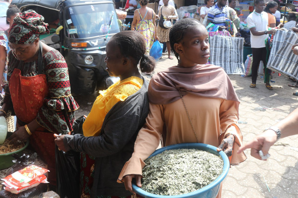 Туда, где Андрей Дубровский прожил три месяца, толпы туристов не текут. Да и сам владимирец отправился в Западную Африку не в статусе отдыхающего. Свое рабочее турне по Того и Бенину путешественник сравнивает с экспедицией из бумажных тревел-журналов вроде Geo и «Вокруг света». Всё вышло очень натурально и, конечно, не без трудностей.