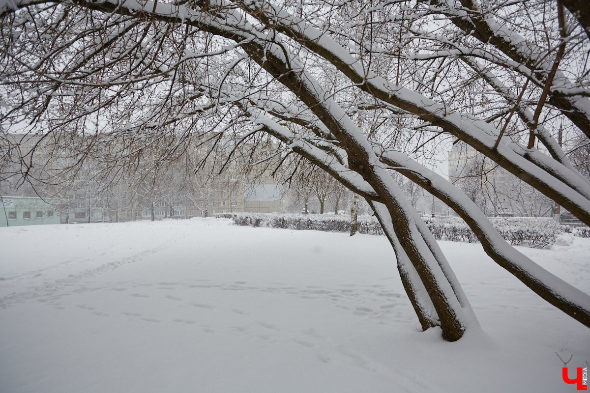 Циклон «Фрэнсис» постарался на славу: давно в регионе не было такого снежного начала года! Впрочем, радости от него мало, ведь буквально не пройти, не проехать. Логично, что главный вопрос на повестке недели звучит так: сколько еще намерены кружить белые мухи?