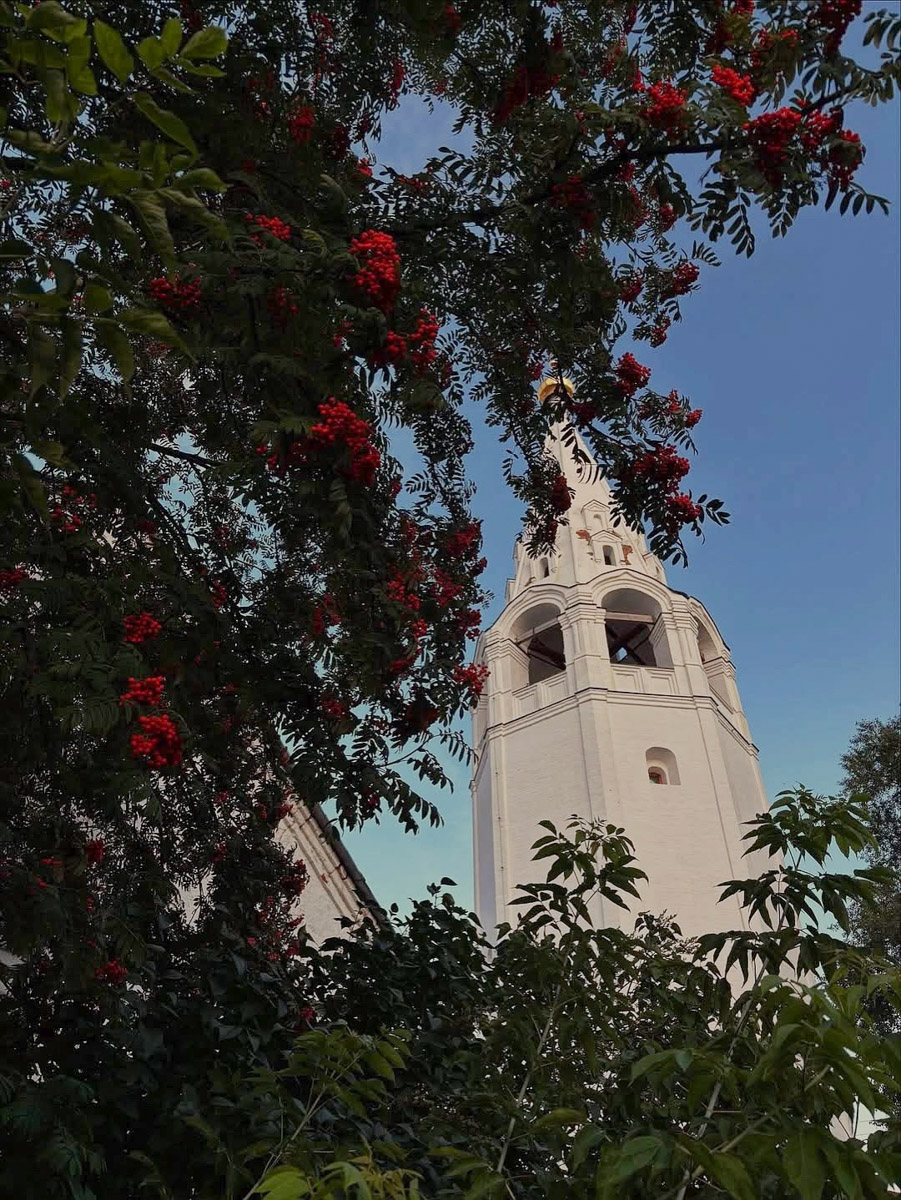 Карту легендарного маршрута «Золотое кольцо России» дополнили новыми точками. Если раньше от 33-го региона на ней значились только Владимир и Суздаль, то теперь мест, которые потенциально могут заинтересовать путешественников, их стало на 11 больше. Но поможет ли это поднять туристический поток? 