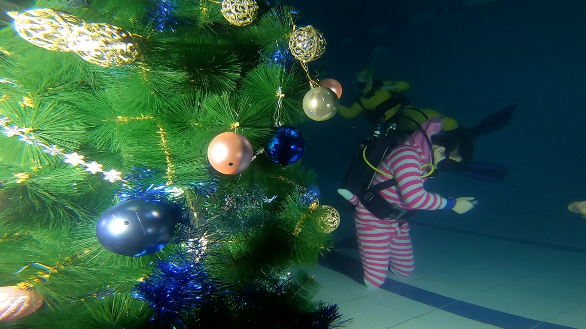 Любители подводного плавания из Владимира завершили марафон январских торжеств оригинальной вечеринкой на дне городского бассейна. Погрузилась туда дружная компания дайверов ровно в полночь по московскому времени, чтобы символически встретить старый Новый год в привычной для себя стихии.