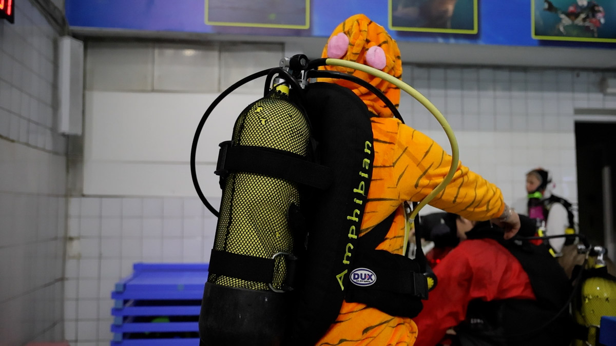 Любители подводного плавания из Владимира завершили марафон январских торжеств оригинальной вечеринкой на дне городского бассейна. Погрузилась туда дружная компания дайверов ровно в полночь по московскому времени, чтобы символически встретить старый Новый год в привычной для себя стихии.