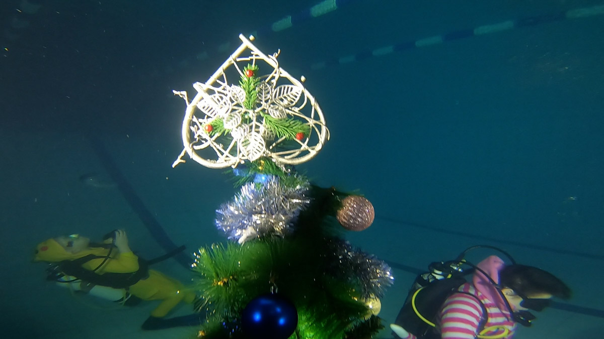 Любители подводного плавания из Владимира завершили марафон январских торжеств оригинальной вечеринкой на дне городского бассейна. Погрузилась туда дружная компания дайверов ровно в полночь по московскому времени, чтобы символически встретить старый Новый год в привычной для себя стихии.