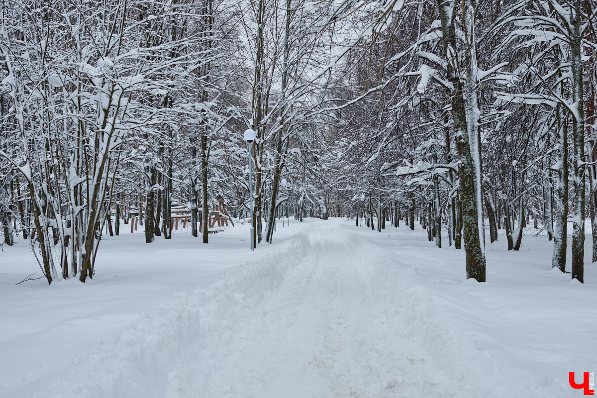 Всего за несколько первых дней января во Владимире выпала месячная норма осадков. На фоне прошлогодней почти «голой» зимы жители успели отвыкнуть от такого разгула стихии. Как областной центр пережил непогоду и когда вернется к привычному ритму жизни — фоторепортаж с городских улиц.