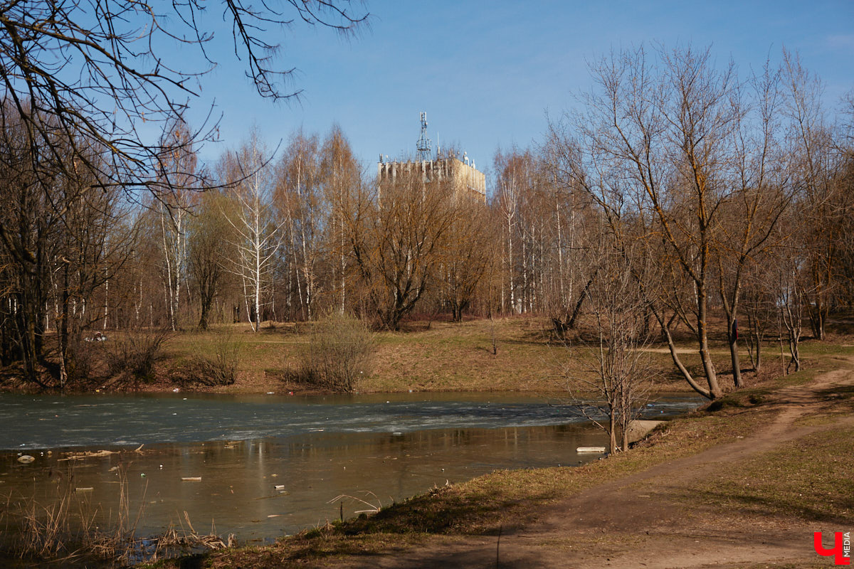 Летом 2025 года Добросельский пруд был одним из лидеров голосования за объекты будущего благоустройства. И хоть проект не победил, идея трансформировать его не осталась забытой. Студенческая команда «Вектор» представила свой взгляд на локацию.