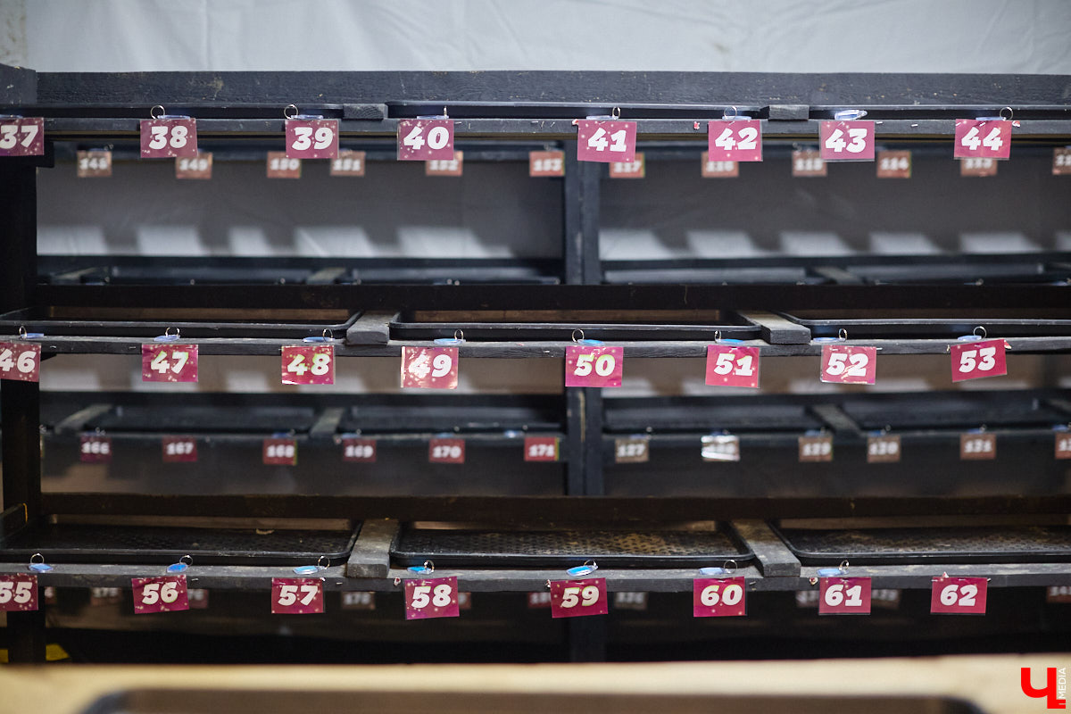 Хотите получить заряд энергии и   хорошего настроения   — отправляйтесь на   каток! Благо в   городе их   немало. Определить лучший   — задачка со   звездочкой, а   вот проверить главные из   них: в   Центральном парке, на   Пушкинском бульваре и   стадионе «Лыбедь»   — нам вполне под силу. Поехали!