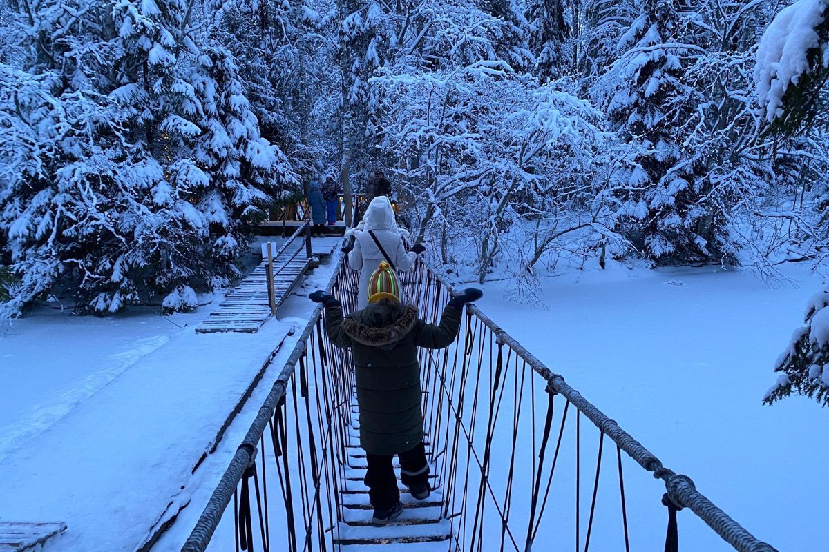 Заснеженный лес, бурлящие водопады цвета колы, калитки с ягодами, живописный мраморный каньон горного парка «Рускеала», белая Ладога и студеная Онега. Все эти чудеса щедро дарит сказочная Карелия, куда из Владимира вполне можно сгонять на пару дней.