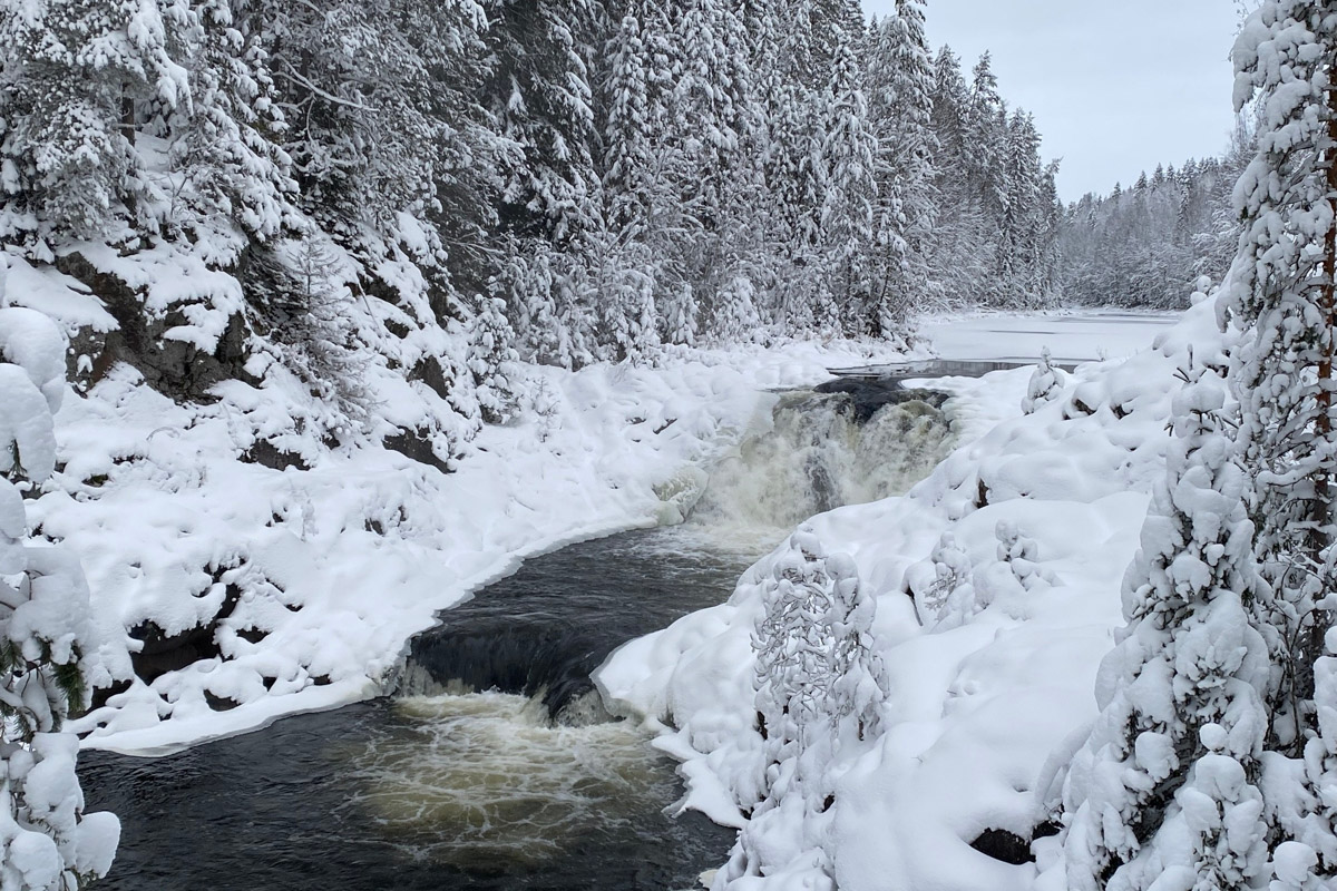 Заснеженный лес, бурлящие водопады цвета колы, калитки с ягодами, живописный мраморный каньон горного парка «Рускеала», белая Ладога и студеная Онега. Все эти чудеса щедро дарит сказочная Карелия, куда из Владимира вполне можно сгонять на пару дней.