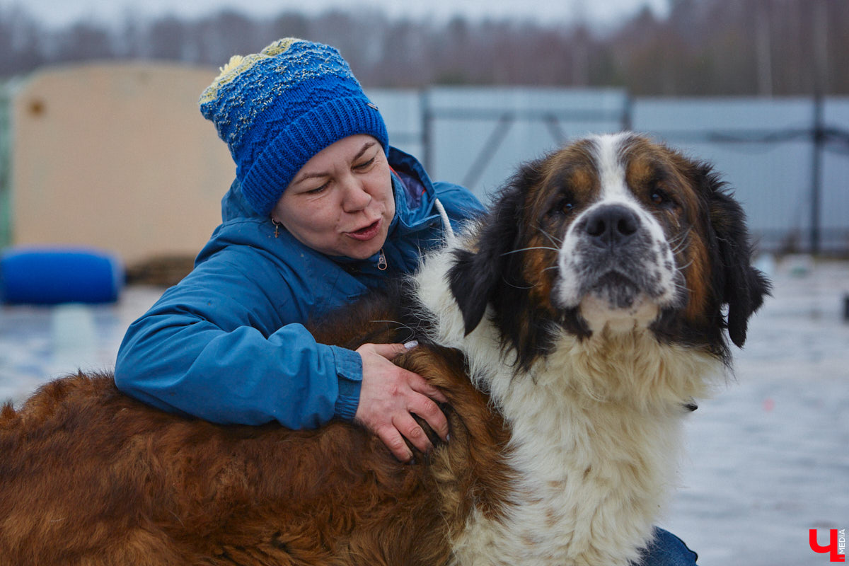 Приют для животных «Дорога добра» — не просящая милостыню рука, а развивающийся в силу своих возможностей проект. Например, в этом году он получил грант вдвое больше прежнего — почти 13 миллионов рублей. Его руководитель Юлия Буйницкая рассказала, на какие благие дела потратит деньги.