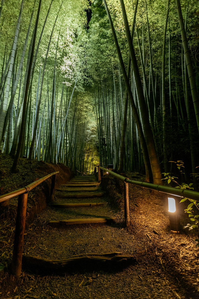 Япония — это страна, где визуальная гармония возведена в абсолют. Владимирский фотограф Владимир Никонов отправился в путешествие по «Золотому треугольнику» Японии в самый живописный период — сезон красных клёнов. О том, почему в Хаконе туман оказался ценнее вида на Фудзи, как японцы реагируют на уличную съемку и почему даже обычные канализационные люки могут стать объектом искусства, — в нашем интервью.