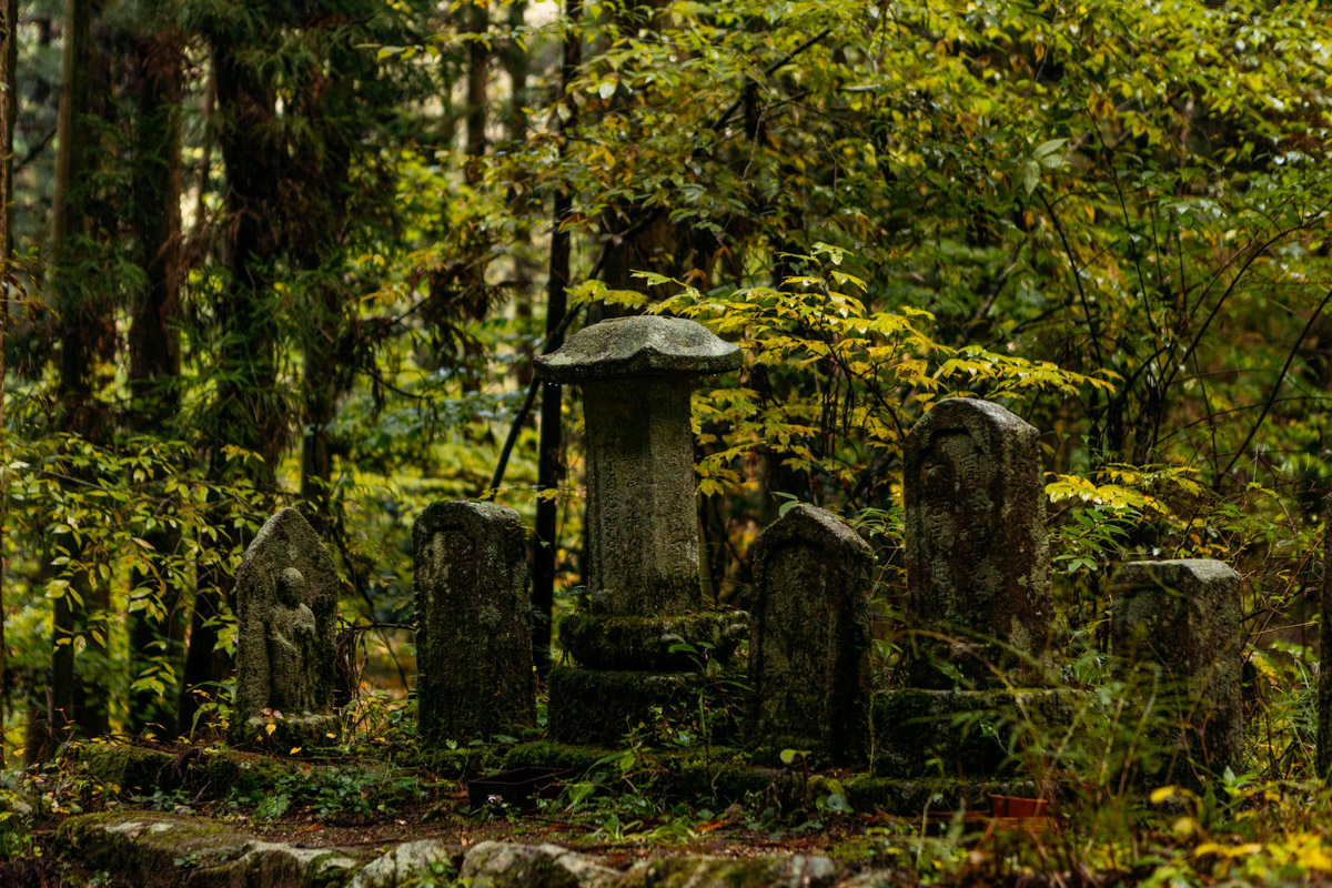 Япония — это страна, где визуальная гармония возведена в абсолют. Владимирский фотограф Владимир Никонов отправился в путешествие по «Золотому треугольнику» Японии в самый живописный период — сезон красных клёнов. О том, почему в Хаконе туман оказался ценнее вида на Фудзи, как японцы реагируют на уличную съемку и почему даже обычные канализационные люки могут стать объектом искусства, — в нашем интервью.