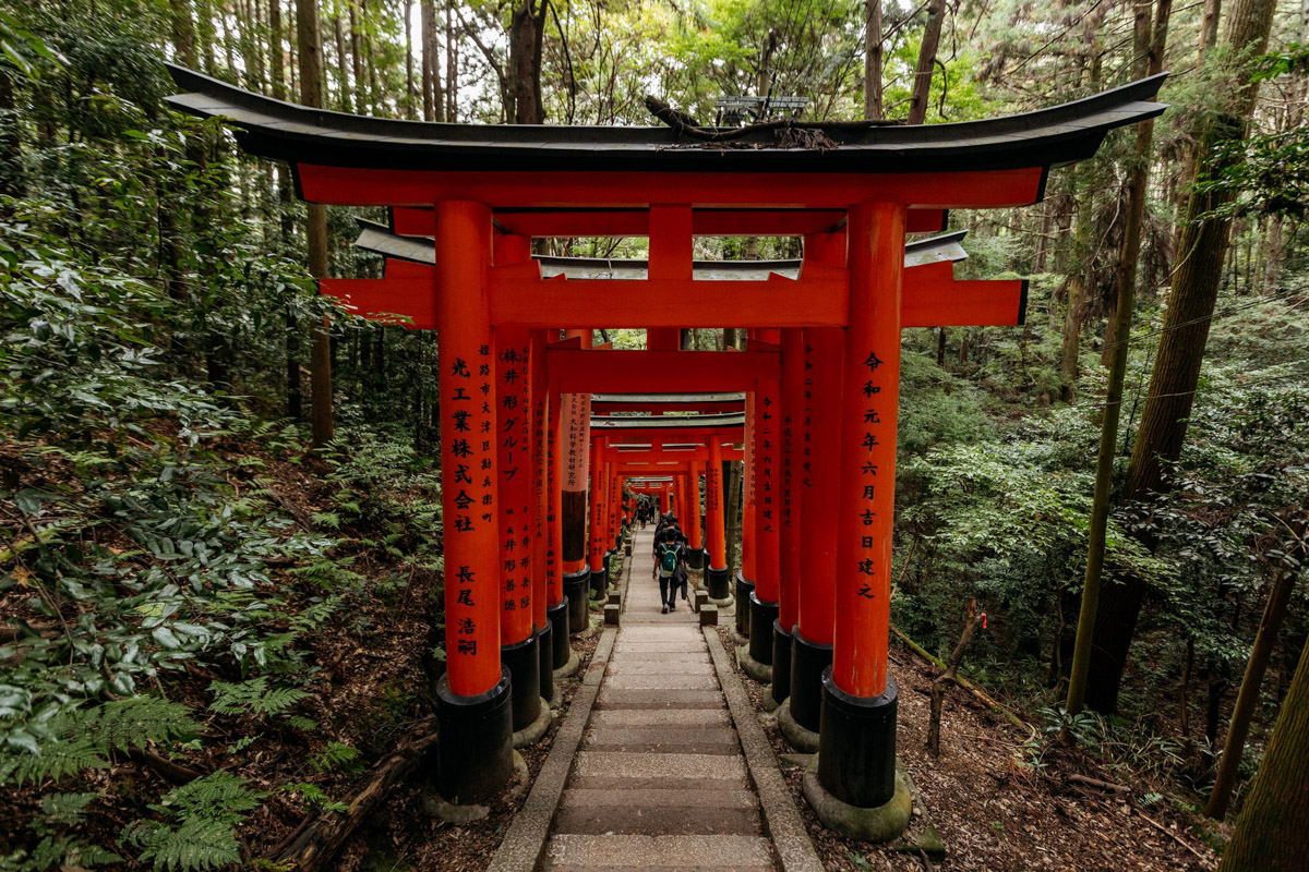 Япония — это страна, где визуальная гармония возведена в абсолют. Владимирский фотограф Владимир Никонов отправился в путешествие по «Золотому треугольнику» Японии в самый живописный период — сезон красных клёнов. О том, почему в Хаконе туман оказался ценнее вида на Фудзи, как японцы реагируют на уличную съемку и почему даже обычные канализационные люки могут стать объектом искусства, — в нашем интервью.