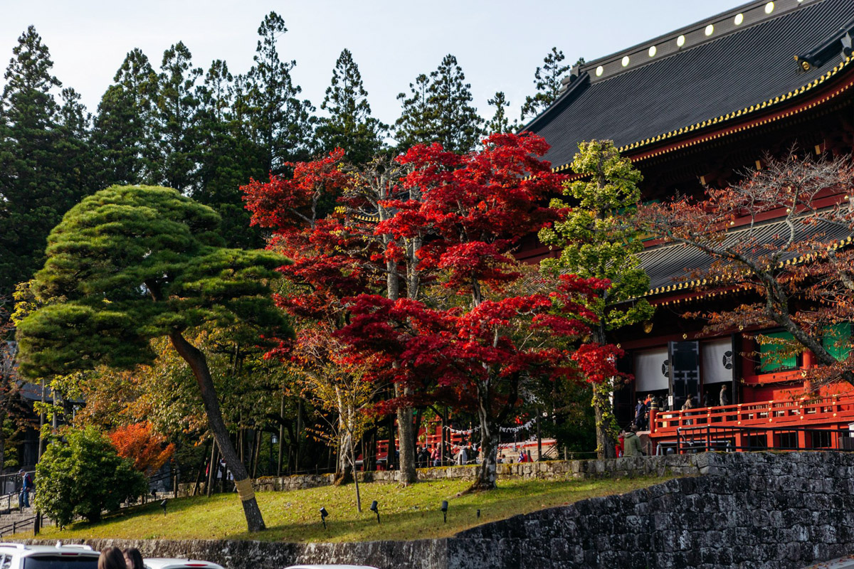 Япония — это страна, где визуальная гармония возведена в абсолют. Владимирский фотограф Владимир Никонов отправился в путешествие по «Золотому треугольнику» Японии в самый живописный период — сезон красных клёнов. О том, почему в Хаконе туман оказался ценнее вида на Фудзи, как японцы реагируют на уличную съемку и почему даже обычные канализационные люки могут стать объектом искусства, — в нашем интервью.