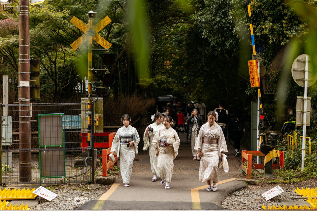 Япония — это страна, где визуальная гармония возведена в абсолют. Владимирский фотограф Владимир Никонов отправился в путешествие по «Золотому треугольнику» Японии в самый живописный период — сезон красных клёнов. О том, почему в Хаконе туман оказался ценнее вида на Фудзи, как японцы реагируют на уличную съемку и почему даже обычные канализационные люки могут стать объектом искусства, — в нашем интервью.