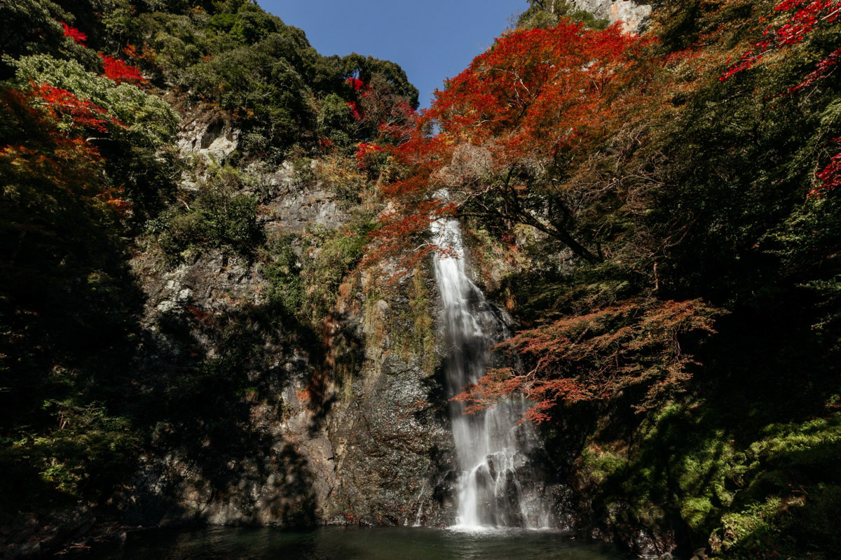 Япония — это страна, где визуальная гармония возведена в абсолют. Владимирский фотограф Владимир Никонов отправился в путешествие по «Золотому треугольнику» Японии в самый живописный период — сезон красных клёнов. О том, почему в Хаконе туман оказался ценнее вида на Фудзи, как японцы реагируют на уличную съемку и почему даже обычные канализационные люки могут стать объектом искусства, — в нашем интервью.