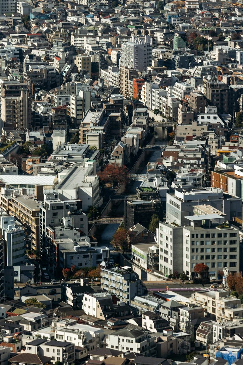 Япония — это страна, где визуальная гармония возведена в абсолют. Владимирский фотограф Владимир Никонов отправился в путешествие по «Золотому треугольнику» Японии в самый живописный период — сезон красных клёнов. О том, почему в Хаконе туман оказался ценнее вида на Фудзи, как японцы реагируют на уличную съемку и почему даже обычные канализационные люки могут стать объектом искусства, — в нашем интервью.