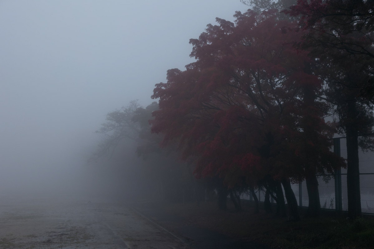 Япония — это страна, где визуальная гармония возведена в абсолют. Владимирский фотограф Владимир Никонов отправился в путешествие по «Золотому треугольнику» Японии в самый живописный период — сезон красных клёнов. О том, почему в Хаконе туман оказался ценнее вида на Фудзи, как японцы реагируют на уличную съемку и почему даже обычные канализационные люки могут стать объектом искусства, — в нашем интервью.