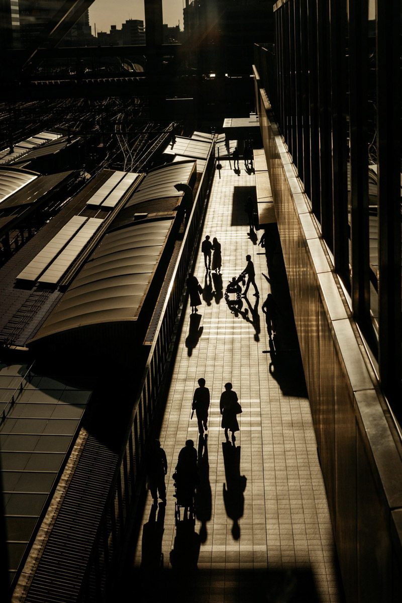 Япония — это страна, где визуальная гармония возведена в абсолют. Владимирский фотограф Владимир Никонов отправился в путешествие по «Золотому треугольнику» Японии в самый живописный период — сезон красных клёнов. О том, почему в Хаконе туман оказался ценнее вида на Фудзи, как японцы реагируют на уличную съемку и почему даже обычные канализационные люки могут стать объектом искусства, — в нашем интервью.