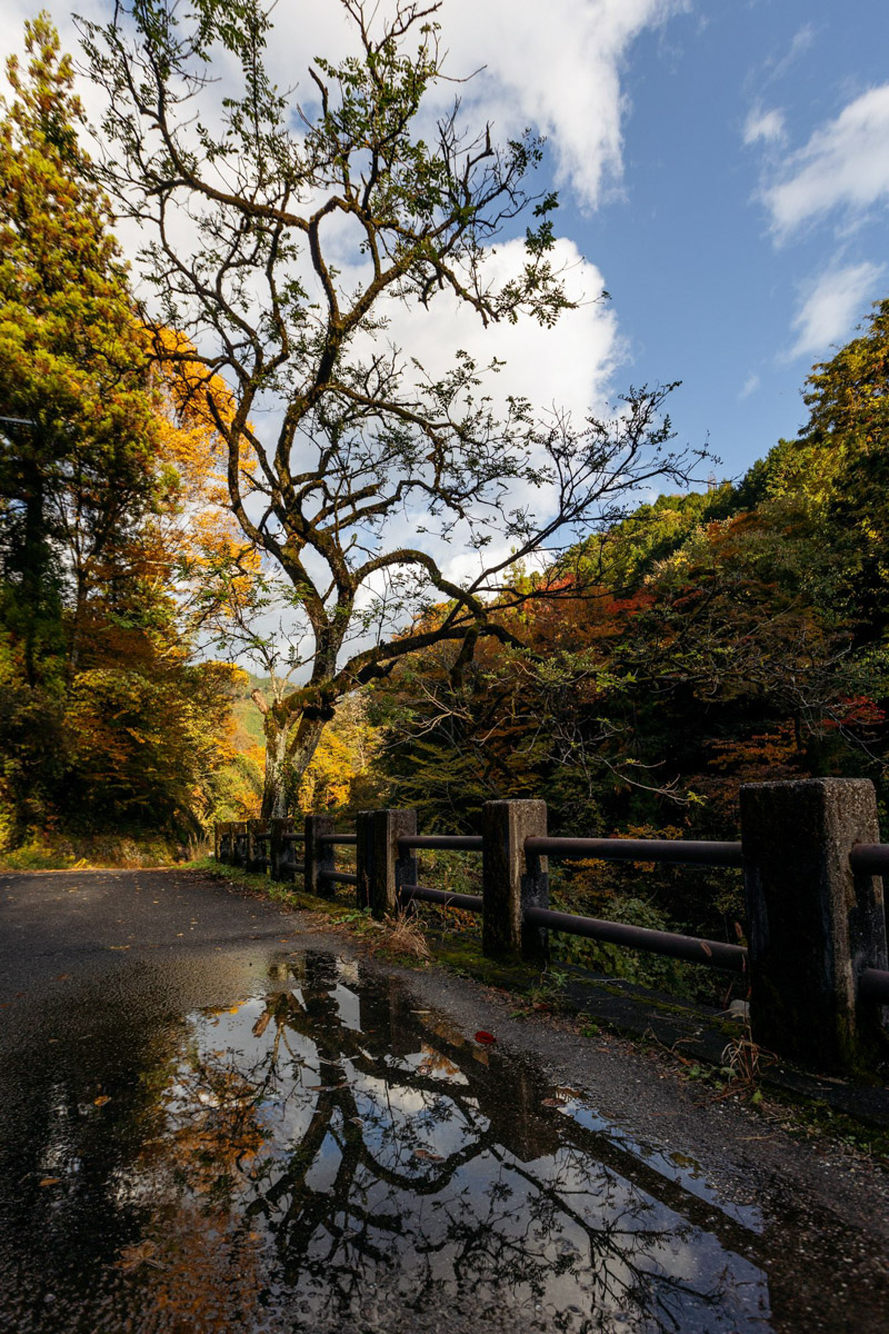 Япония — это страна, где визуальная гармония возведена в абсолют. Владимирский фотограф Владимир Никонов отправился в путешествие по «Золотому треугольнику» Японии в самый живописный период — сезон красных клёнов. О том, почему в Хаконе туман оказался ценнее вида на Фудзи, как японцы реагируют на уличную съемку и почему даже обычные канализационные люки могут стать объектом искусства, — в нашем интервью.