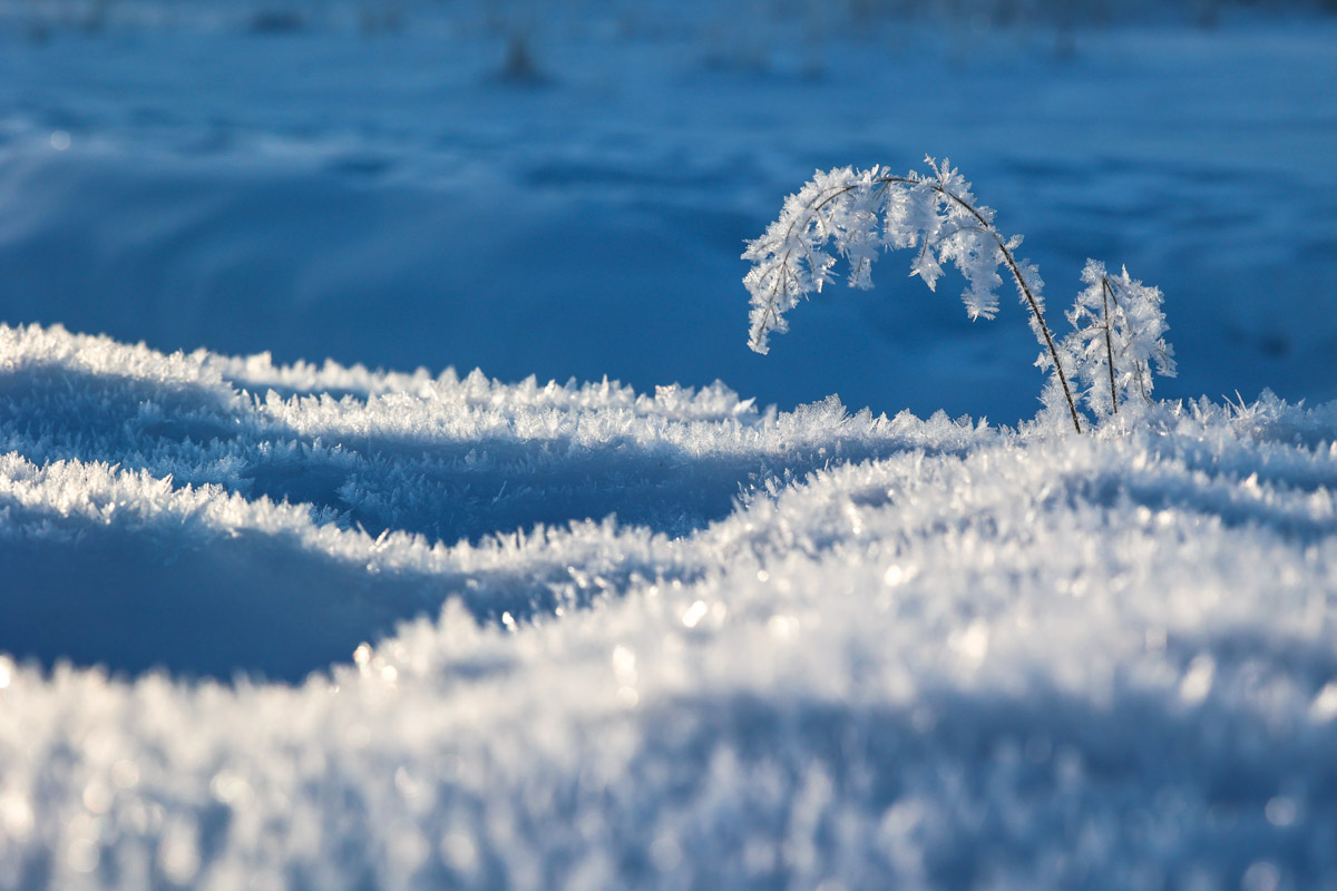 Пока одни не выходят лишний раз на улицу из-за морозов, другие спешат ему навстречу, чтобы снять настоящую русскую зиму. И кадры получаются просто волшебными: от дуги из пара на закате до покрывшейся инеем телевышки. «Ключ-Медиа» собрал самые красивые снимки.