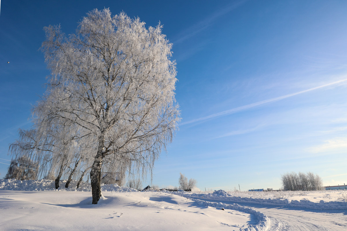 Пока одни не выходят лишний раз на улицу из-за морозов, другие спешат ему навстречу, чтобы снять настоящую русскую зиму. И кадры получаются просто волшебными: от дуги из пара на закате до покрывшейся инеем телевышки. «Ключ-Медиа» собрал самые красивые снимки.