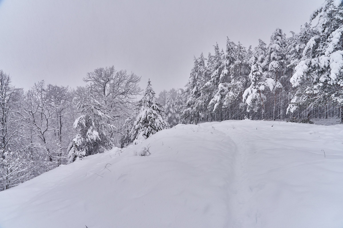 Пока одни не выходят лишний раз на улицу из-за морозов, другие спешат ему навстречу, чтобы снять настоящую русскую зиму. И кадры получаются просто волшебными: от дуги из пара на закате до покрывшейся инеем телевышки. «Ключ-Медиа» собрал самые красивые снимки.