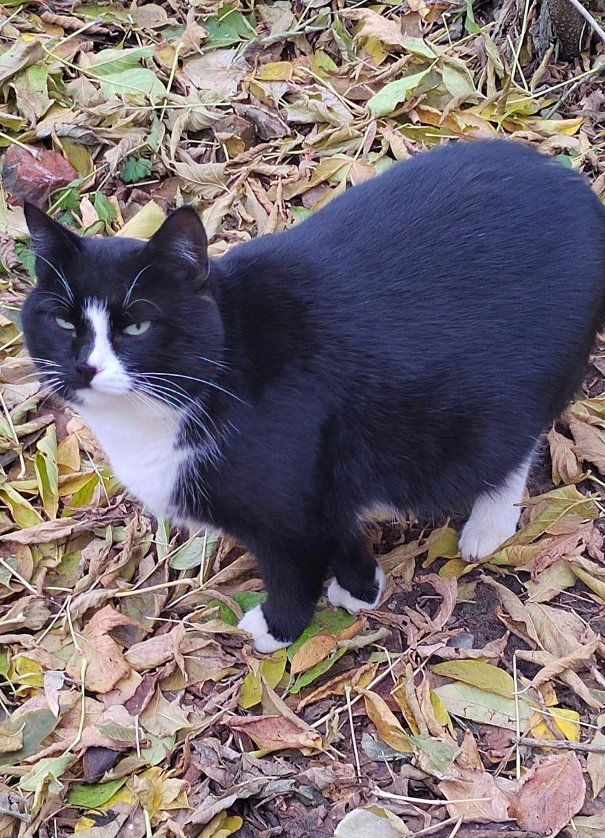 Добро всегда побеждает! Данную аксиому знает каждый ребенок, однако во взрослой жизни реальность часто бывает суровой. И как же порой не хватает историй про благородные поступки за обычное спасибо в ответ… Пусть говорят, что хорошими делами прославиться нельзя, «Ключ-Медиа» готов с уверенностью это опровергнуть.