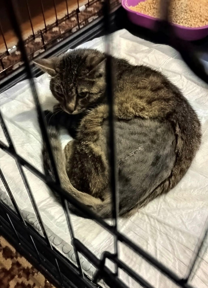 Добро всегда побеждает! Данную аксиому знает каждый ребенок, однако во взрослой жизни реальность часто бывает суровой. И как же порой не хватает историй про благородные поступки за обычное спасибо в ответ… Пусть говорят, что хорошими делами прославиться нельзя, «Ключ-Медиа» готов с уверенностью это опровергнуть.