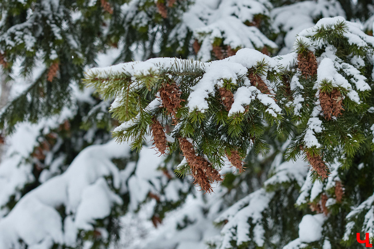 Вторая половина января выдалась беспощадной, хотя и очень атмосферной, а посему богатой на красивые пейзажи. Февраль перехватил морозную эстафету и пока не намерен ослаблять хватку.