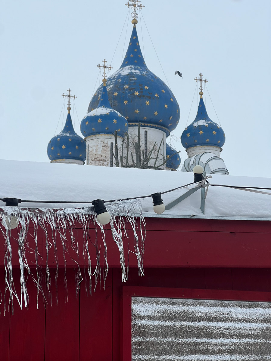 Больше полугода назад звезда сериала «Доктор Преображенский» Ирина Савакова вернулась в родной Суздаль. Последние 14 лет актриса жила и работала в столице, поэтому ее камбэк заинтересовал «Ключ-Медиа». В интервью наша героиня рассказала, связан ли он с разводом и как она устроилась с маленьким ребенком в провинции.