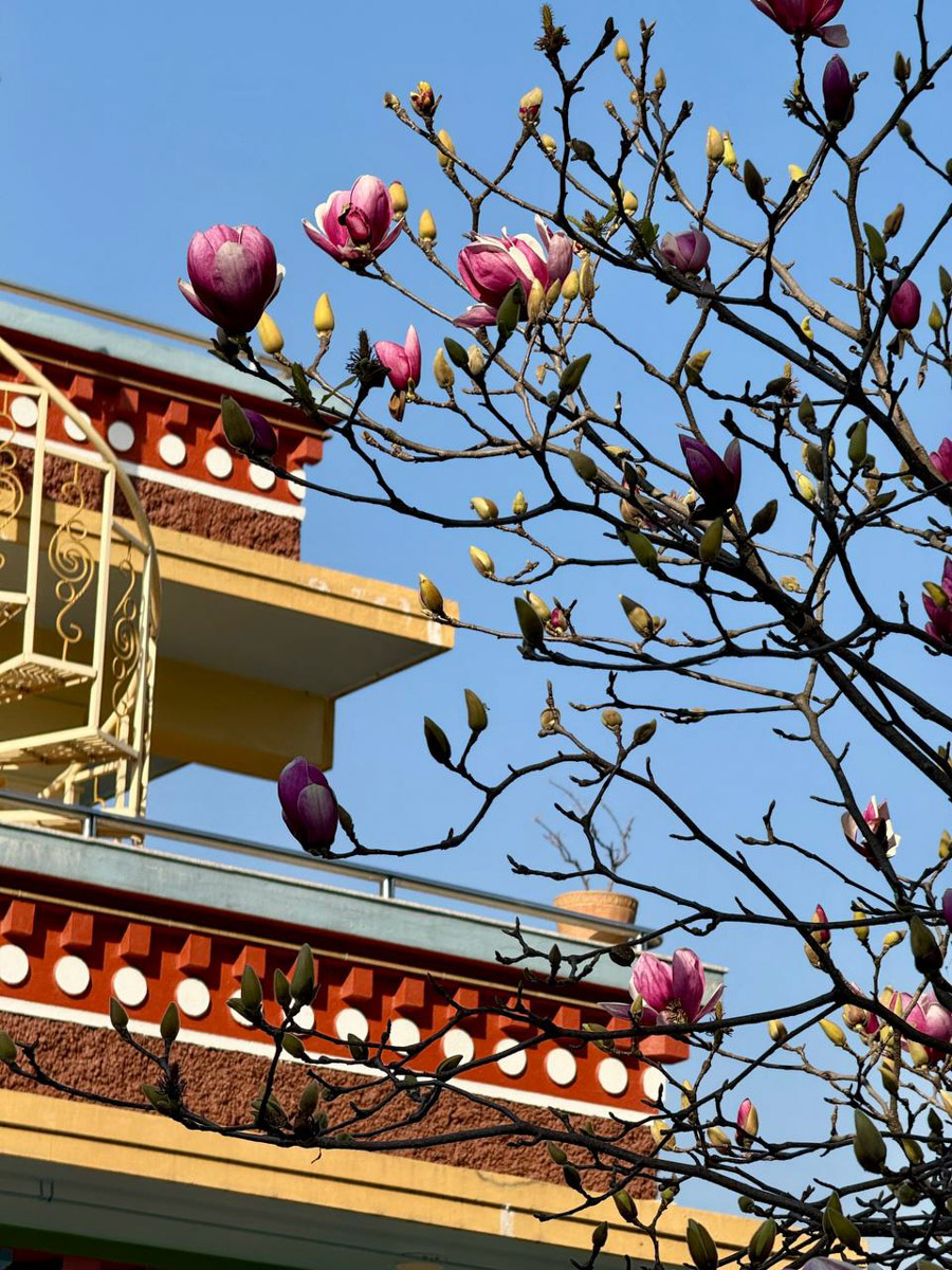 Преподавательница английского языка Татьяна Рубцова за свою жизнь посетила уже 31 страну. И это число продолжает расти. Буквально на днях она вернулась из Катманду — красочной столицы Непала. А после рассказала «Ключ-Медиа» о своей страсти к изучению разных уголков планеты и впечатлениях, полученных в пути.