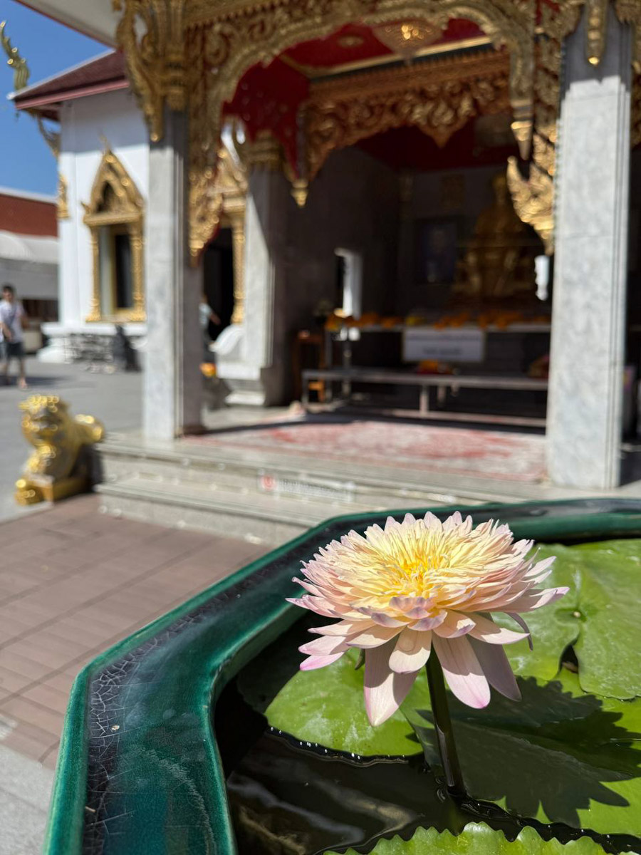 Преподавательница английского языка Татьяна Рубцова за свою жизнь посетила уже 31 страну. И это число продолжает расти. Буквально на днях она вернулась из Катманду — красочной столицы Непала. А после рассказала «Ключ-Медиа» о своей страсти к изучению разных уголков планеты и впечатлениях, полученных в пути.