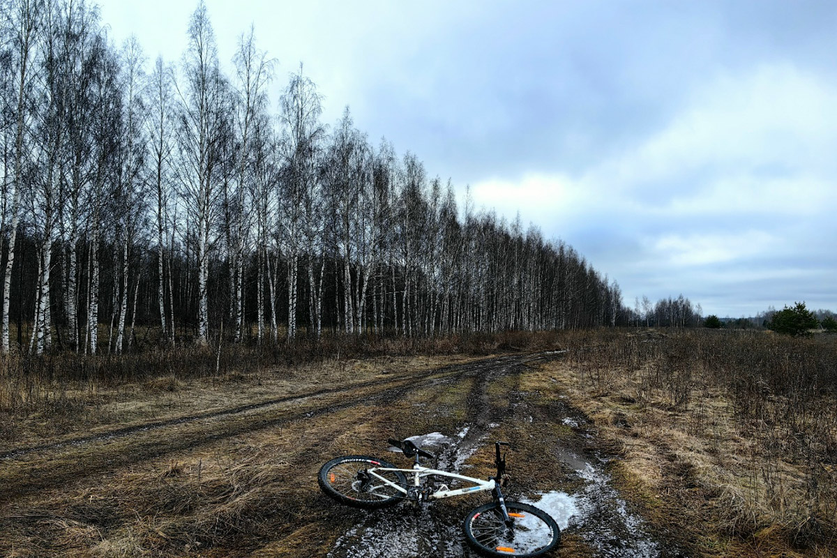 Минувшая и нынешняя зимы выдались аномальными. Но если начало 2025-го запомнилось апрельским вайбом, то старт 2026-го удивил небывалыми сугробами и морозами. Подобная разница не осталась незамеченной — владимирские фотографы поделились с «Ключ-Медиа» сравнительными кадрами двух таких непохожих друг на друга сезонов.