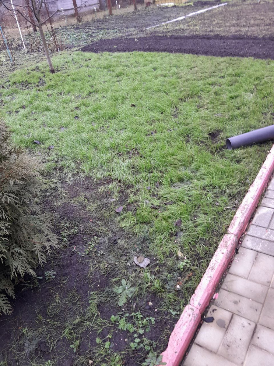 Минувшая и нынешняя зимы выдались аномальными. Но если начало 2025-го запомнилось апрельским вайбом, то старт 2026-го удивил небывалыми сугробами и морозами. Подобная разница не осталась незамеченной — владимирские фотографы поделились с «Ключ-Медиа» сравнительными кадрами двух таких непохожих друг на друга сезонов.