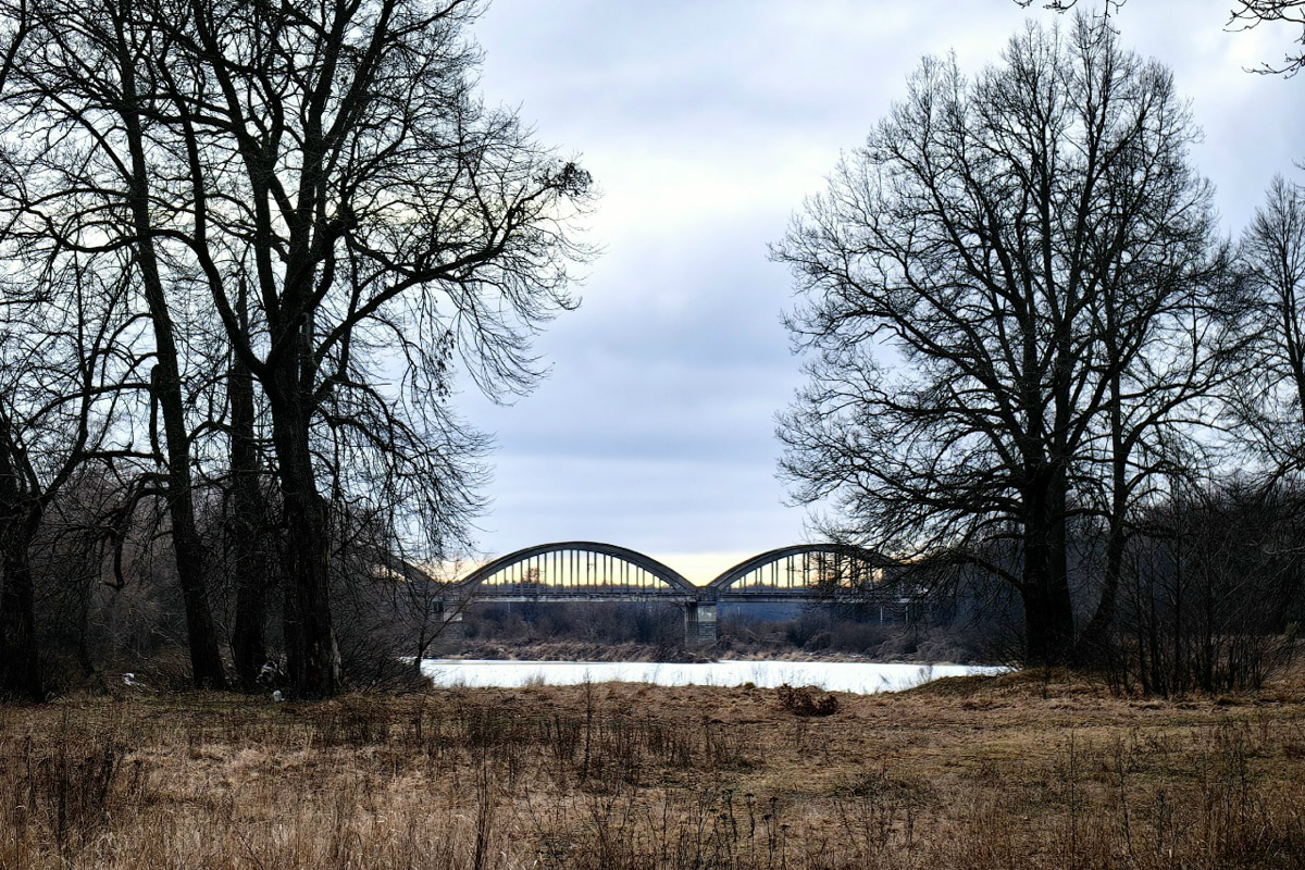 Минувшая и нынешняя зимы выдались аномальными. Но если начало 2025-го запомнилось апрельским вайбом, то старт 2026-го удивил небывалыми сугробами и морозами. Подобная разница не осталась незамеченной — владимирские фотографы поделились с «Ключ-Медиа» сравнительными кадрами двух таких непохожих друг на друга сезонов.