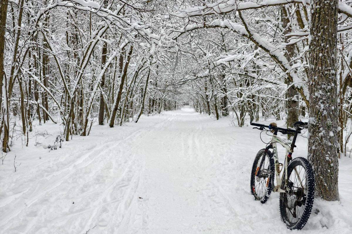 Минувшая и нынешняя зимы выдались аномальными. Но если начало 2025-го запомнилось апрельским вайбом, то старт 2026-го удивил небывалыми сугробами и морозами. Подобная разница не осталась незамеченной — владимирские фотографы поделились с «Ключ-Медиа» сравнительными кадрами двух таких непохожих друг на друга сезонов.