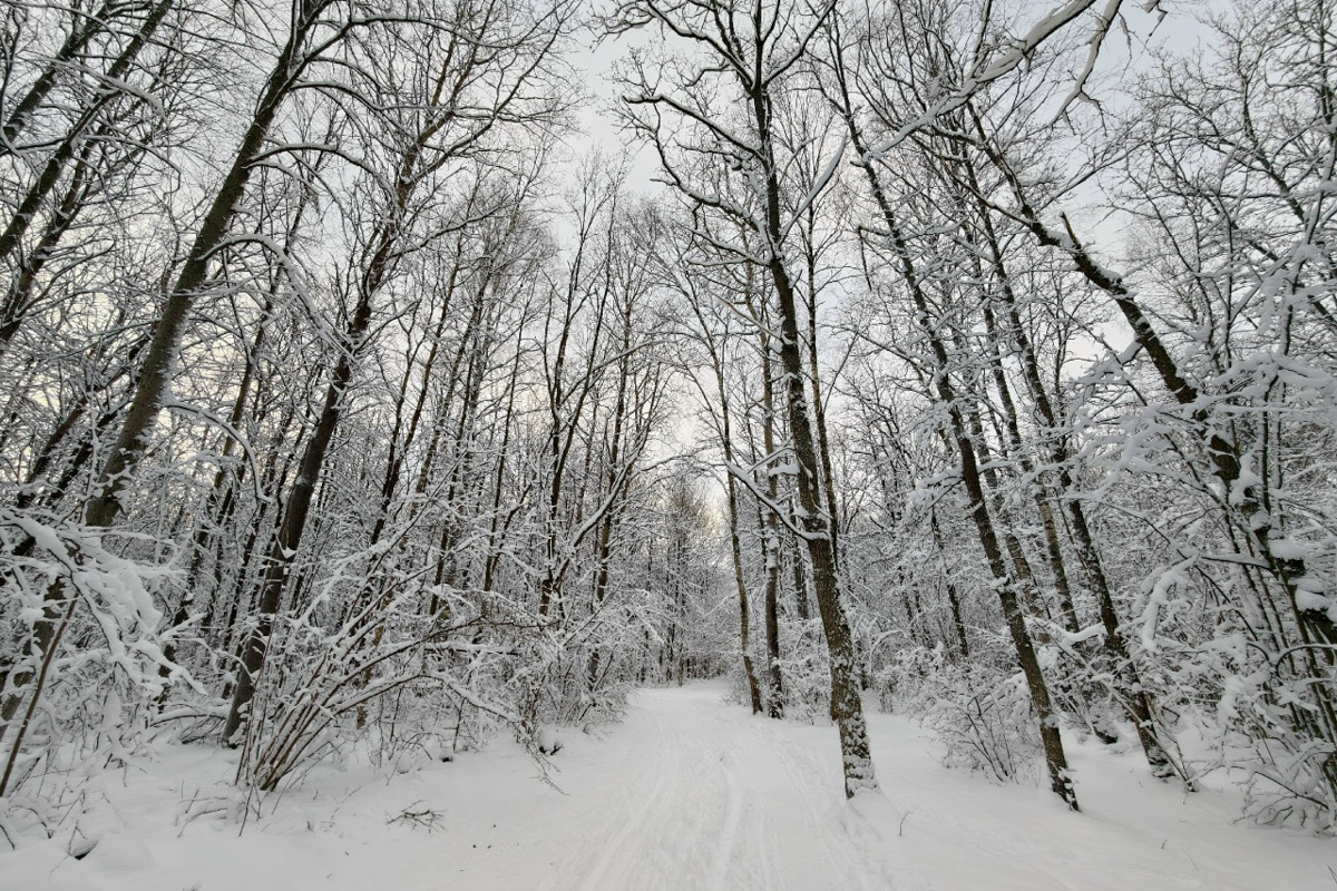 Минувшая и нынешняя зимы выдались аномальными. Но если начало 2025-го запомнилось апрельским вайбом, то старт 2026-го удивил небывалыми сугробами и морозами. Подобная разница не осталась незамеченной — владимирские фотографы поделились с «Ключ-Медиа» сравнительными кадрами двух таких непохожих друг на друга сезонов.