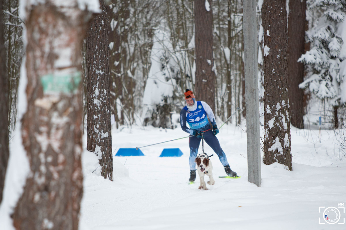 Поселок Красное Эхо Гусь-Хрустального района на три дня превратился, пожалуй, в самую дружелюбную точку на карте региона. А всё потому, что туда съехалось 500 хвостатых гонщиков из 12 регионов страны. На живописной трассе прошли традиционные соревнования «Семь вёрст… Crazy dog». Мохнатым спортсменам пришлось Преодолевать не только километры по заснеженному лесу, но и сильный мороз. Справились ли они? Рассказываем!
