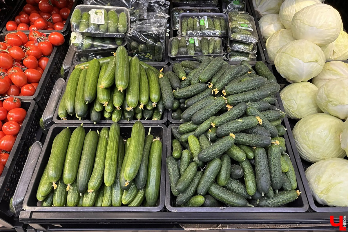 Во Владимирской области зафиксирован рекордный рост стоимости огурцов. Зеленые овощи уже обогнали в рейтинге экзотические бананы и ананасы и стали вирусным мемом. Сколько стоят огурцы и другие продукты в 33-м регионе? «Ключ-Медиа» изучил сводную таблицу потребительских цен по четырем городам Владимирской области.